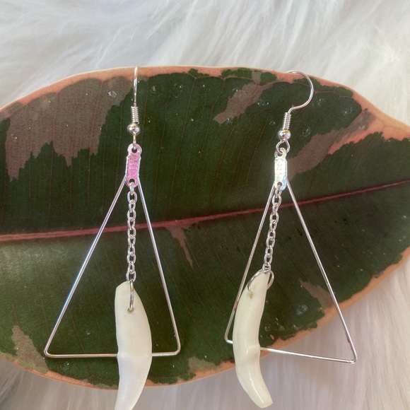 Coyote tooth earrings - Picture 2 of 2